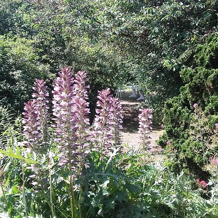 住宿加早餐酒店 Du Jardin Fleuri Saint-Aubin-lès-Elbeuf