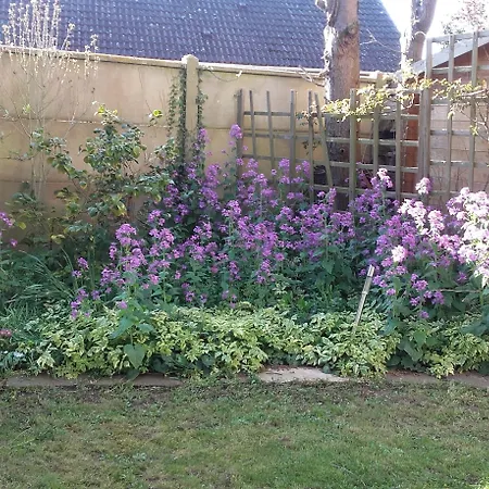 Du Jardin Fleuri Bed & Breakfast 3*
