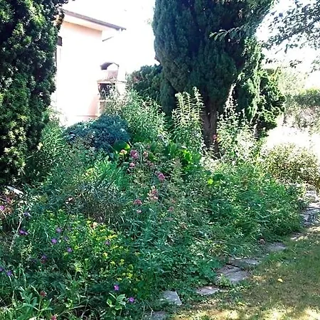 Du Jardin Fleuri Отель типа 