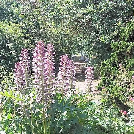 Du Jardin Fleuri Отель типа 