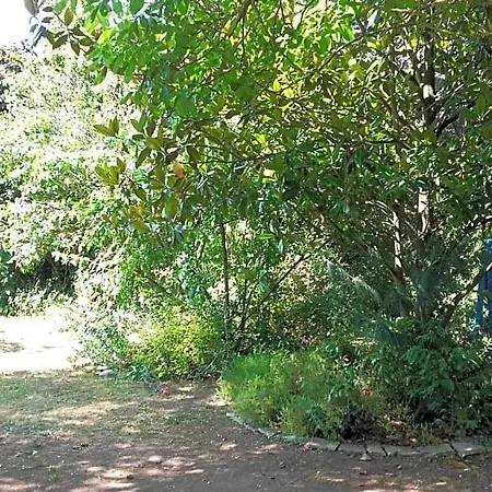 Du Jardin Fleuri Отель типа 