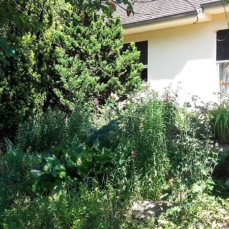 Du Jardin Fleuri Bed & Breakfast