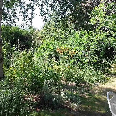 Du Jardin Fleuri 住宿加早餐酒店 Saint-Aubin-lès-Elbeuf