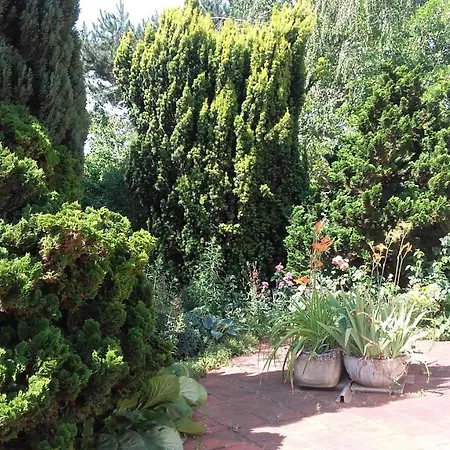 Du Jardin Fleuri 住宿加早餐酒店 Saint-Aubin-lès-Elbeuf