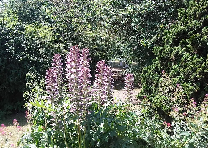 Bed & Breakfast Du Jardin Fleuri Saint-Aubin-lès-Elbeuf
