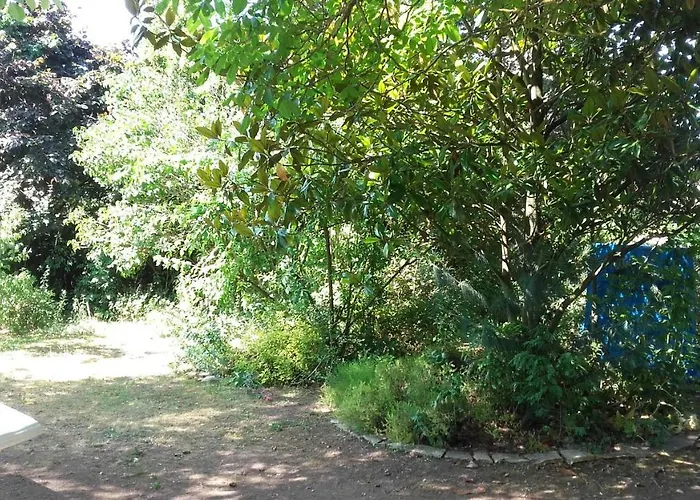 Du Jardin Fleuri Bed & Breakfast Saint-Aubin-lès-Elbeuf