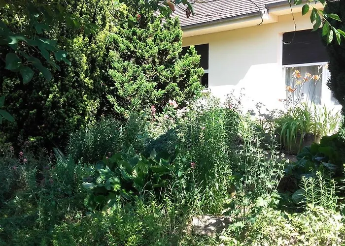 Du Jardin Fleuri Bed & Breakfast